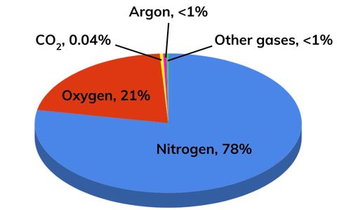The Proportion of Gases in the Earth's Atmosphere